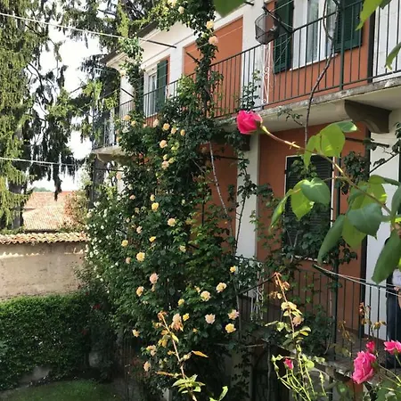 Bed & Roses “gege” *