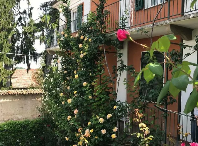 Bed & Roses “gege” *